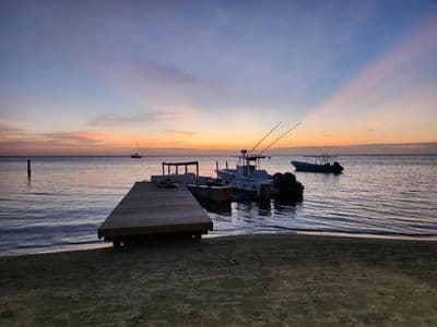 Newly Renovated Home in Luna Beach Resort, (Treehouse)