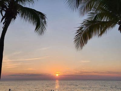 Newly Renovated Home in Luna Beach Resort, (Treehouse)